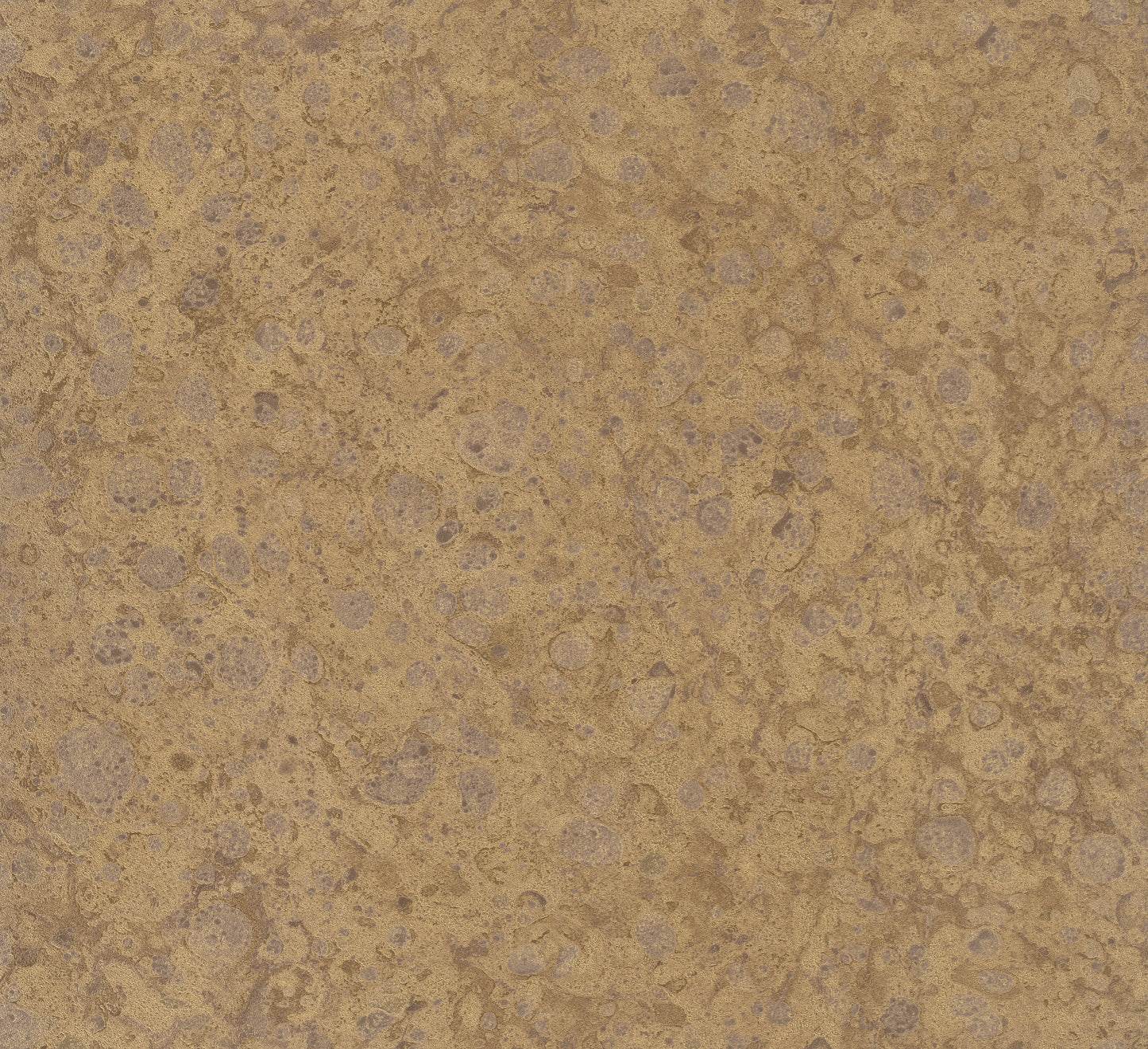 Galerie MB Igneous Wallcovering