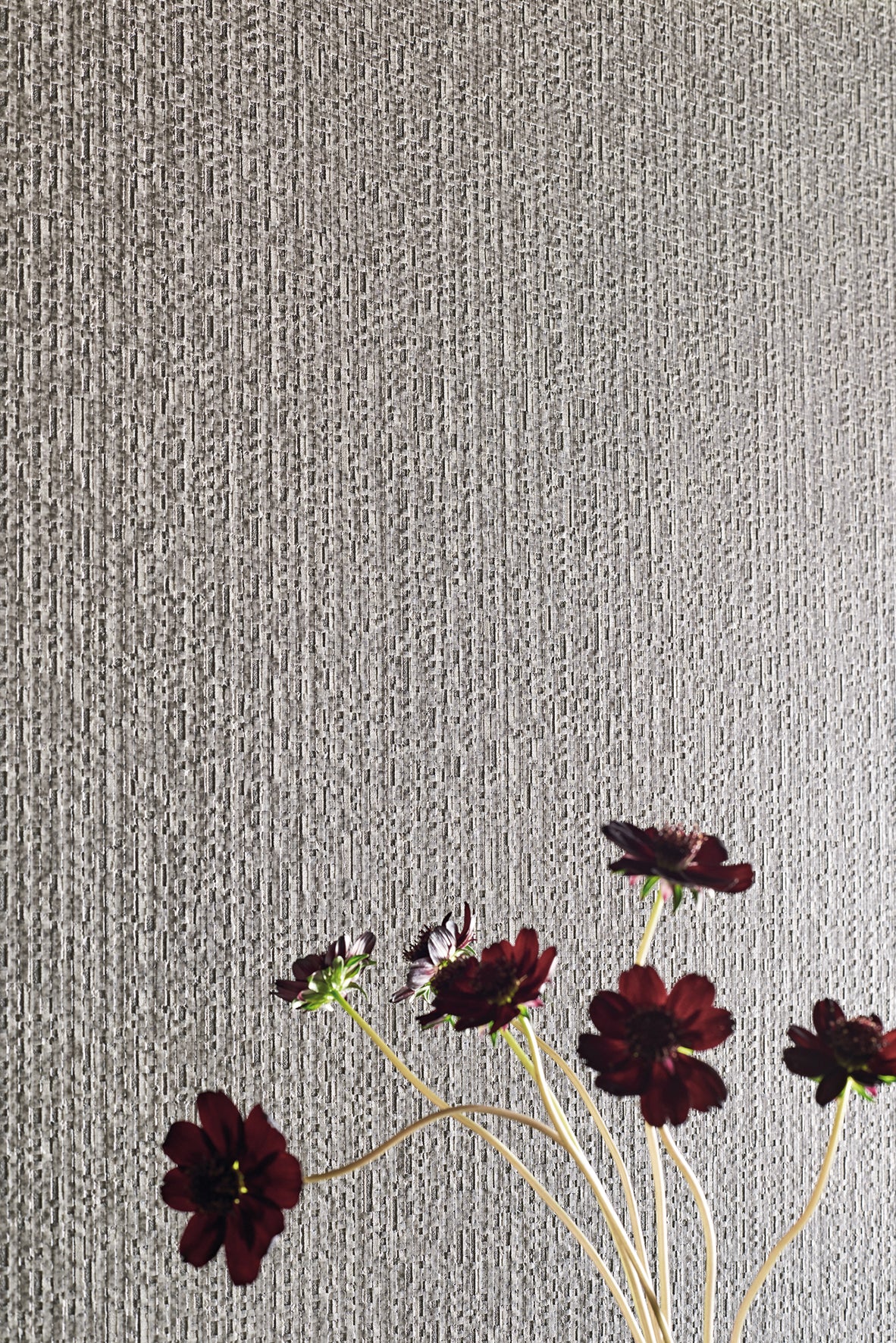 Black Edition Opus Wallcovering