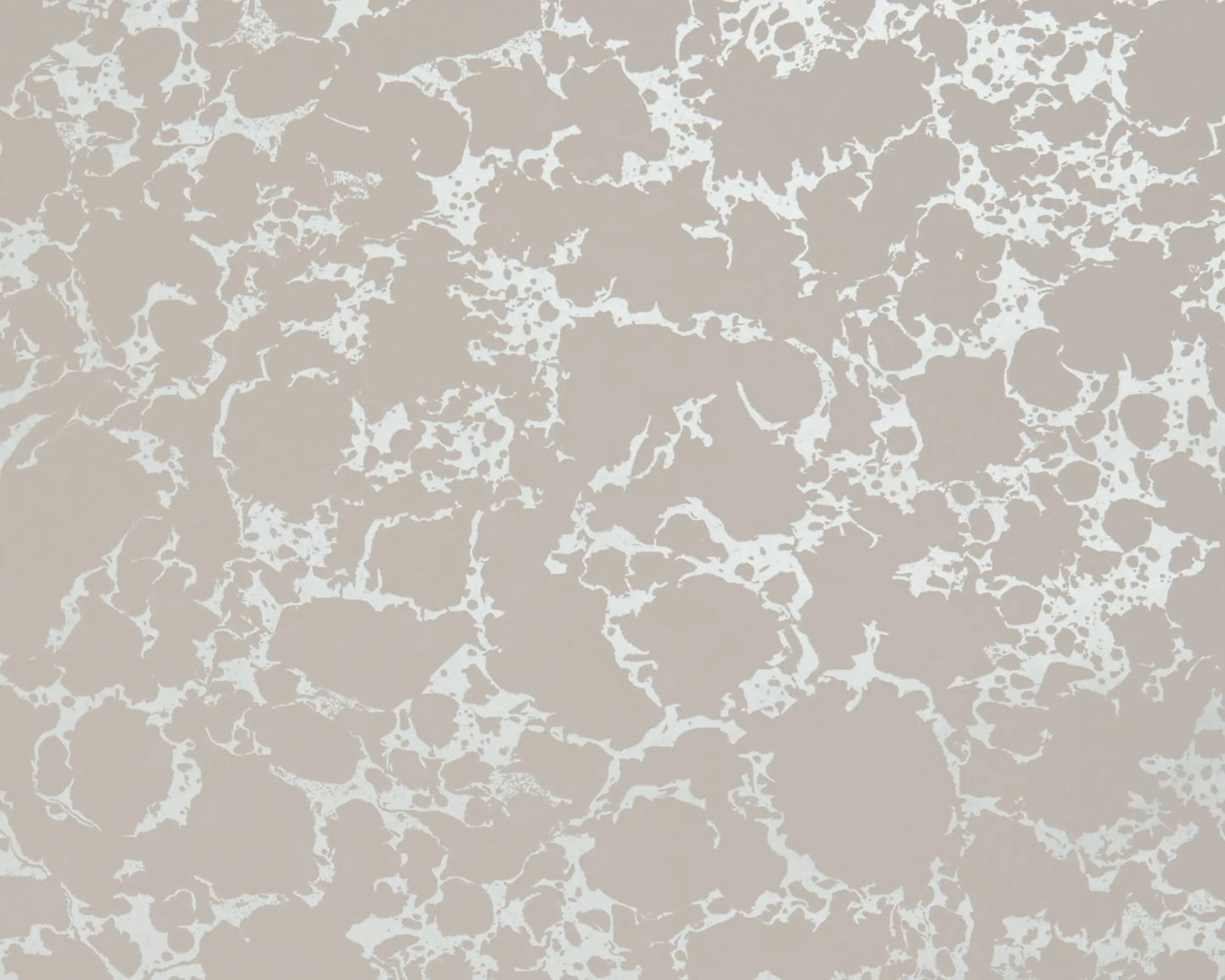Clarke & Clarke Pietra Grey/Gilver Wallpaper