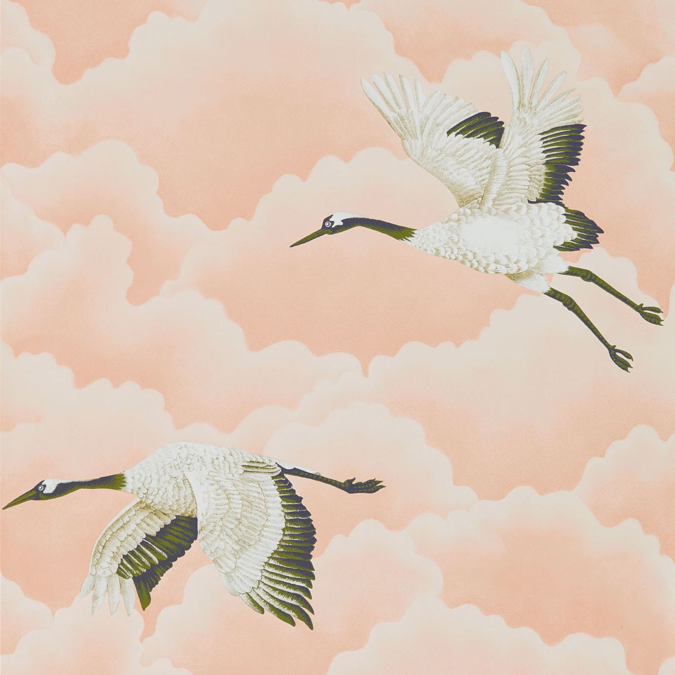 Harlequin Cranes in Flight Wallpaper
