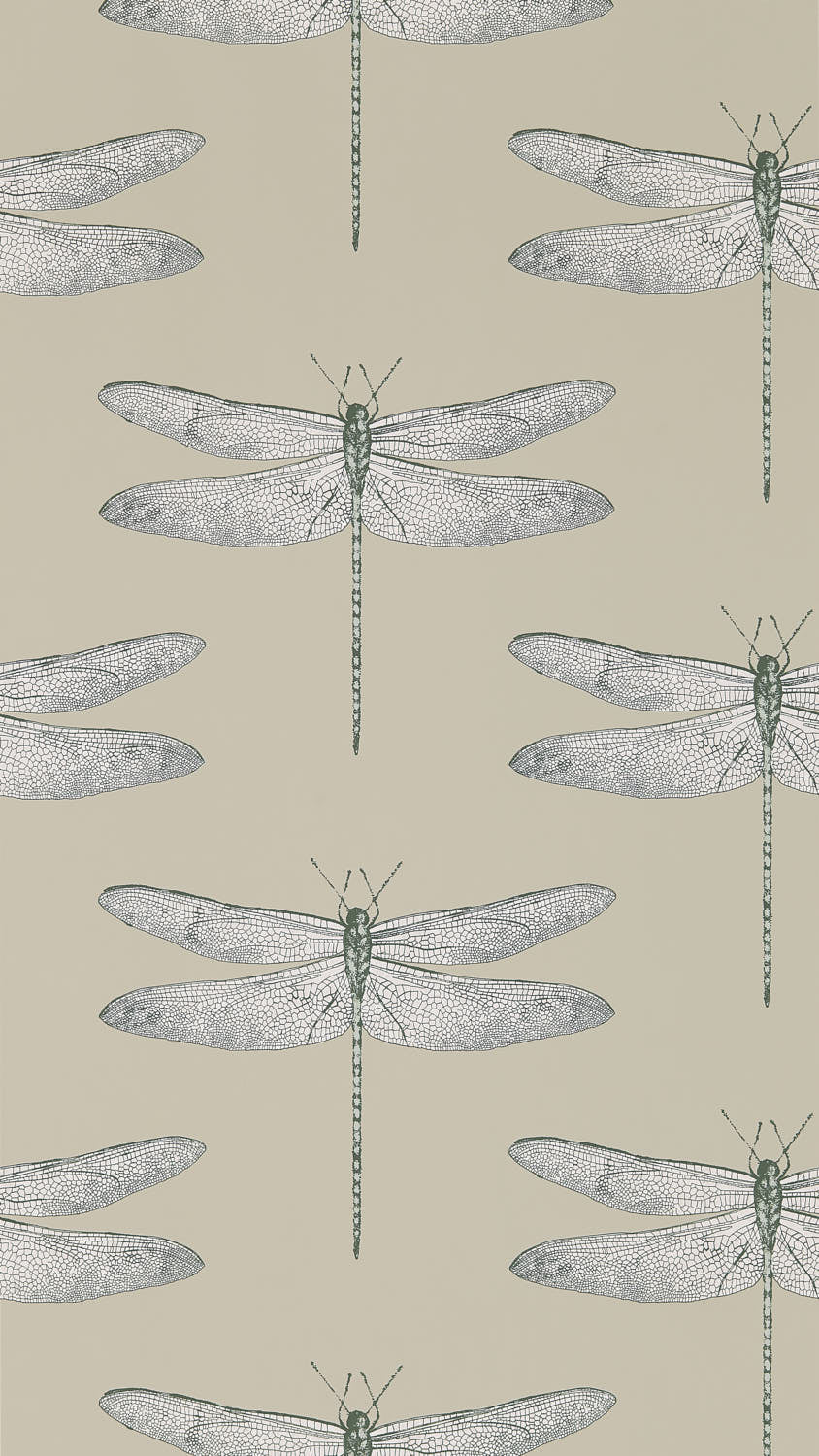 Harlequin Demoiselle Wallpaper