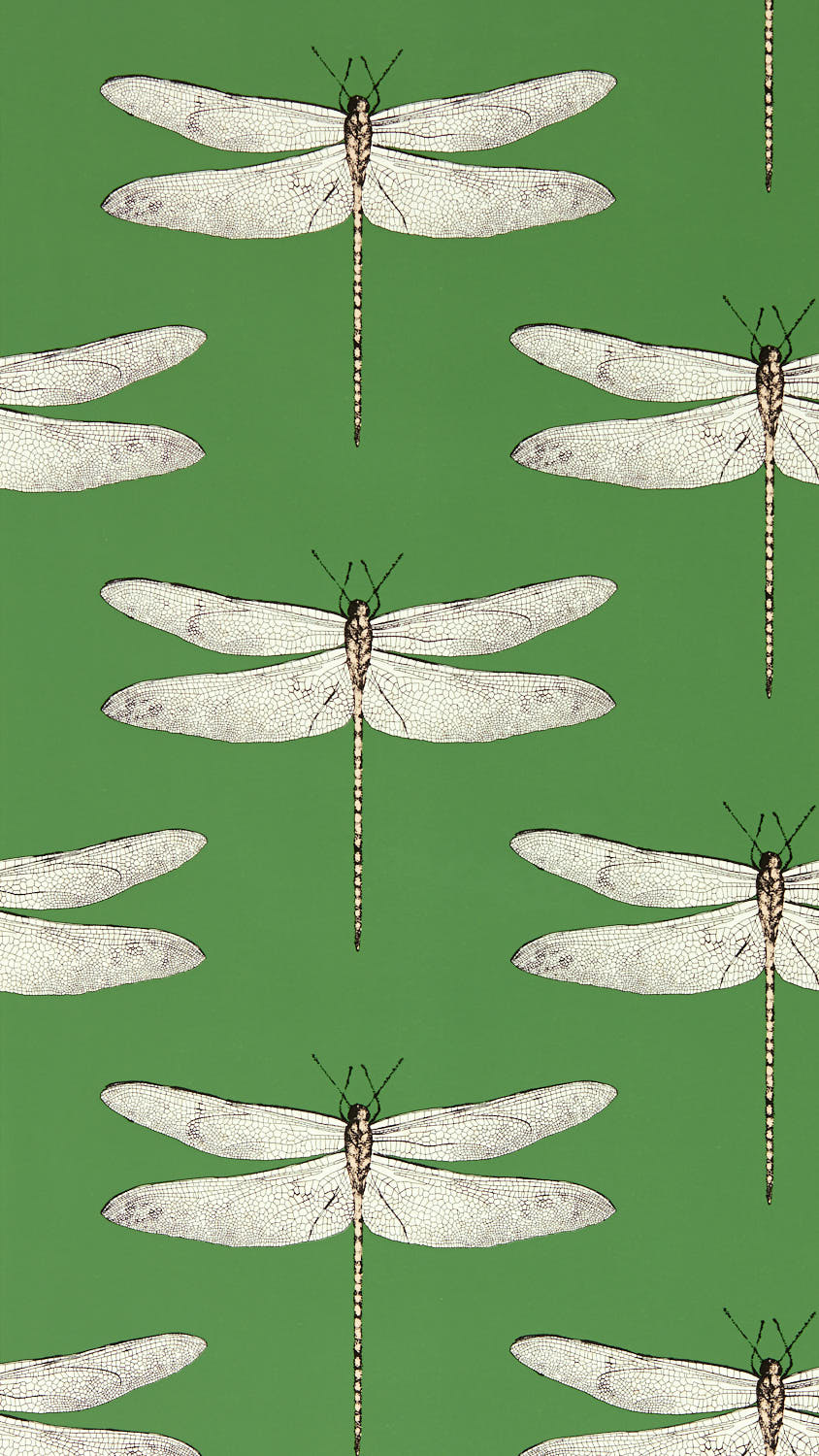 Harlequin Demoiselle Wallpaper