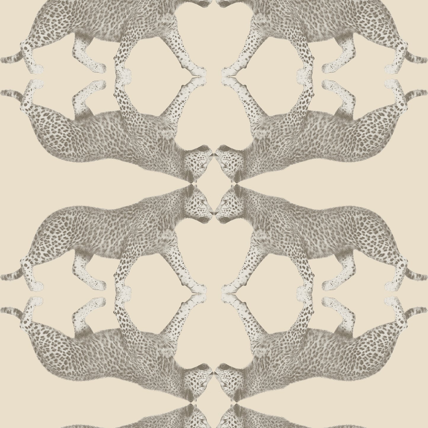 Galerie Sabor Wallcovering