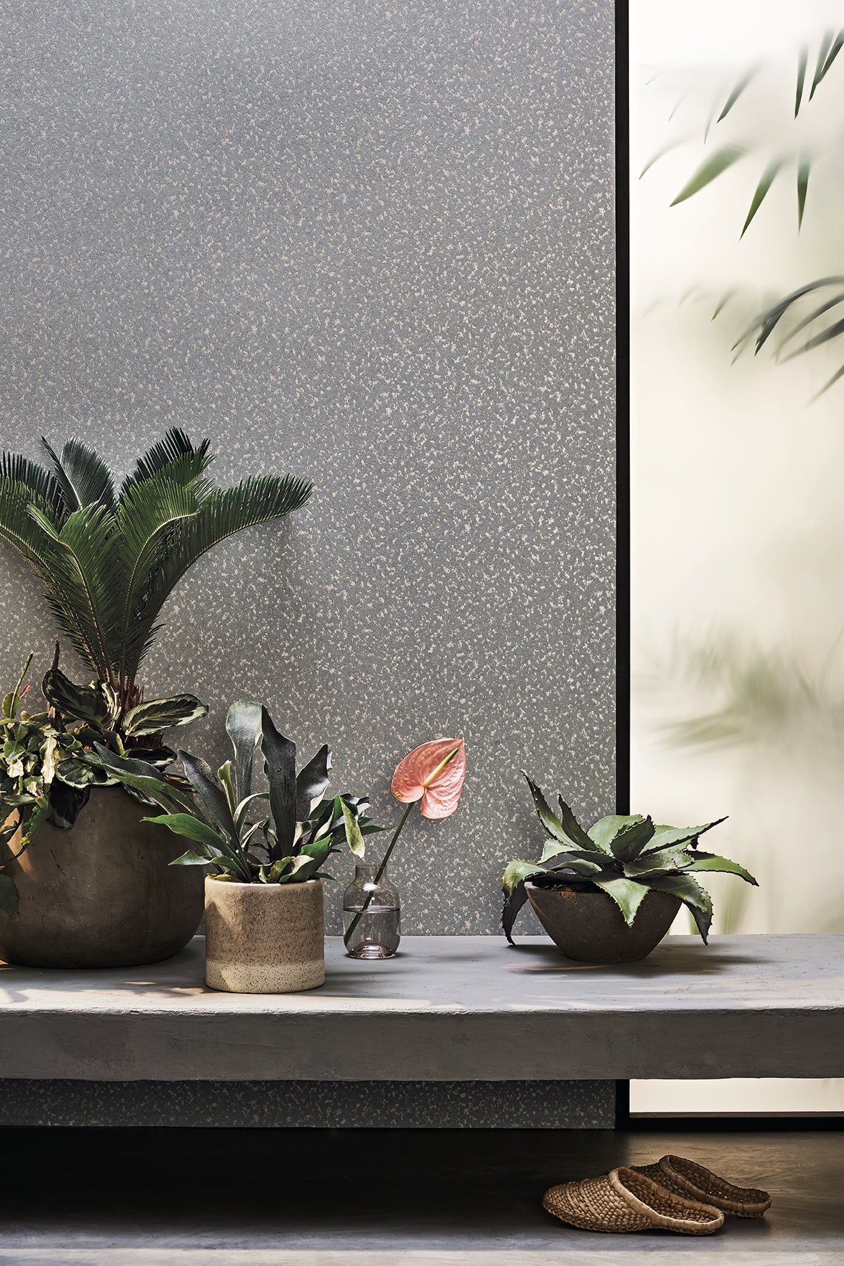 Romo Sapo Wallcovering