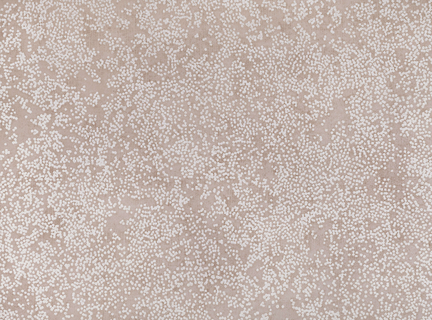 Romo Nyiri Wallcovering