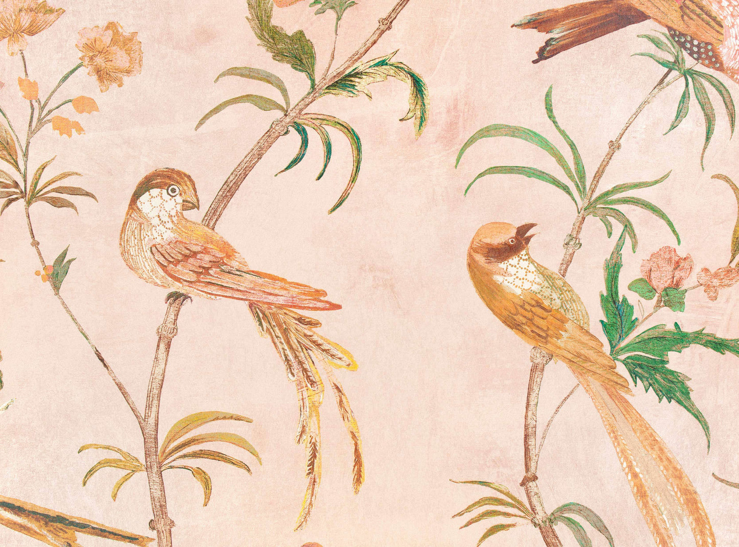Romo Pluma Wallcovering