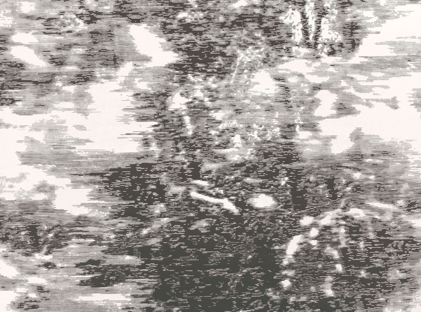 Black Edition Mitoku Wallcovering