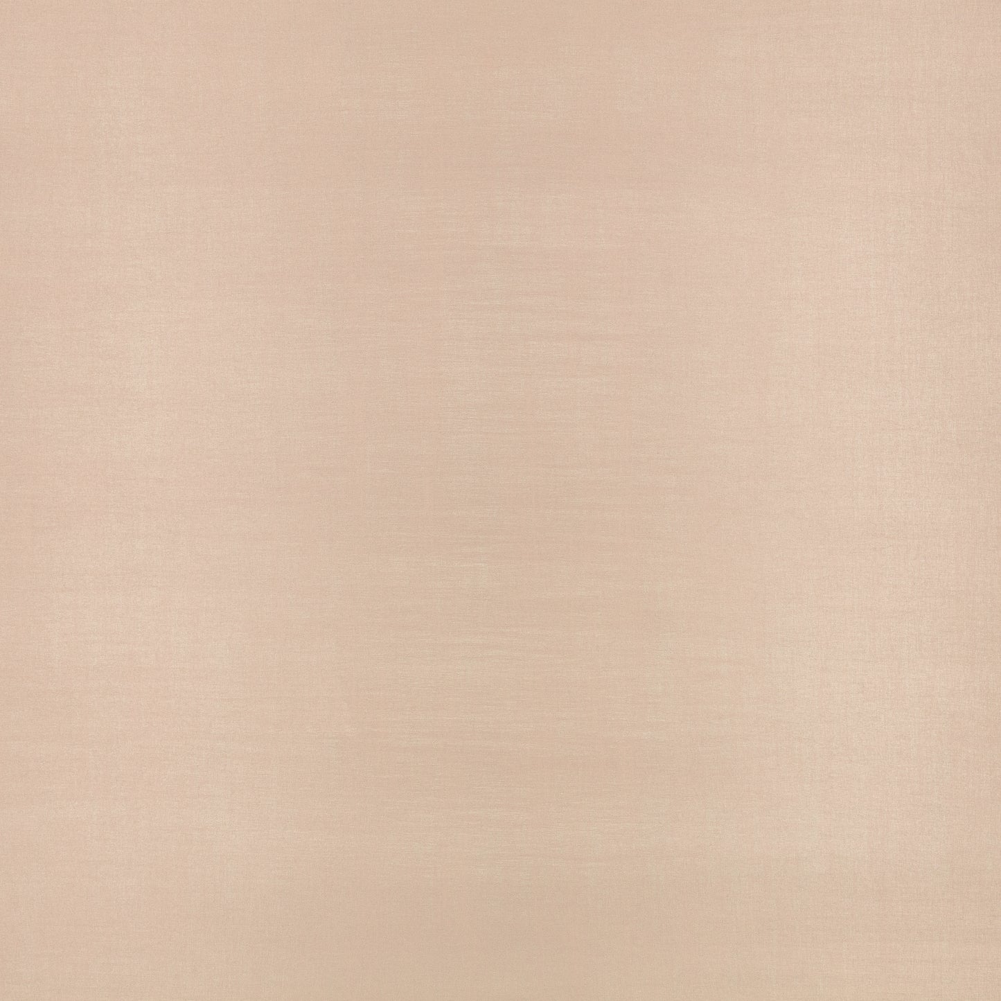 Black Edition Sieta Tinto Wallcovering