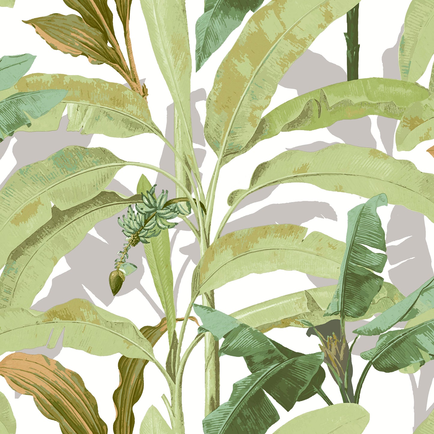 Galerie Banana Tree Wallpaper