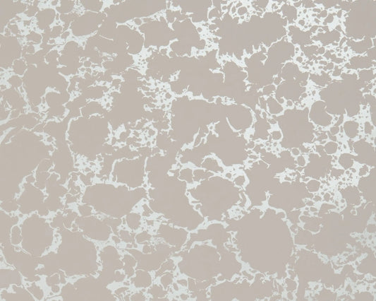 Clarke & Clarke Pietra Grey/Gilver Wallpaper