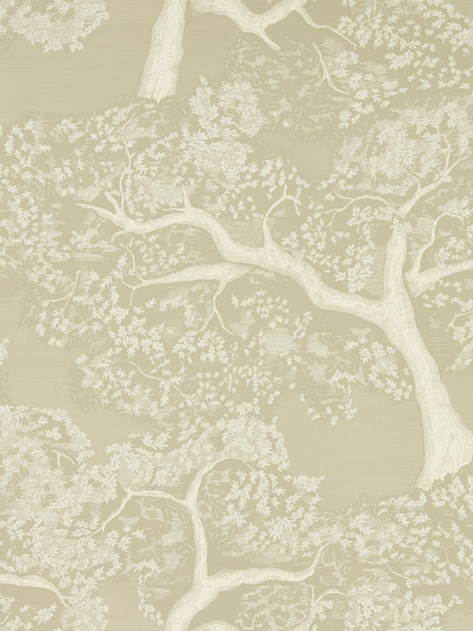 Harlequin Eternal Oak Wallpaper