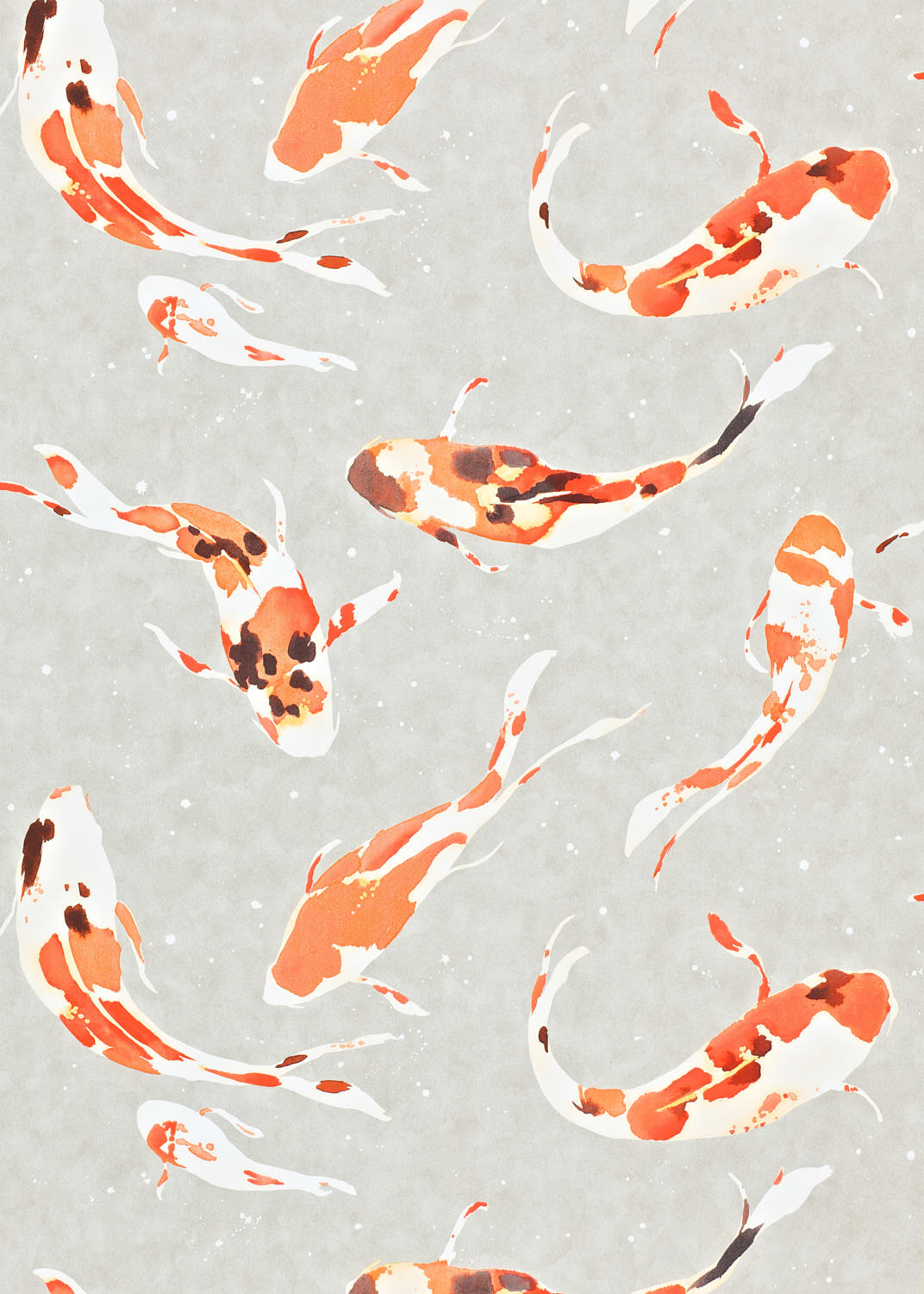 Harlequin Koi Wallpaper