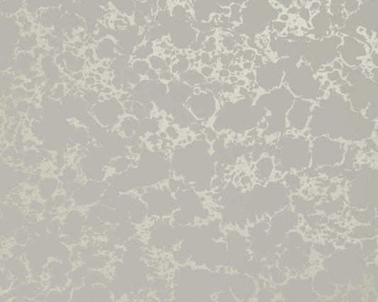 Clarke & Clarke Pietra Ivory / Gold Wallpaper